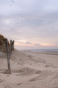 Zonsondergang op het strand bij Noordwijk van Kirsten - Where She Goes