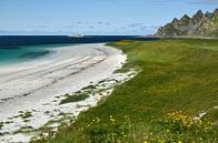 Karibischer Strand in Norwegen von Iris Heuer Miniaturansicht
