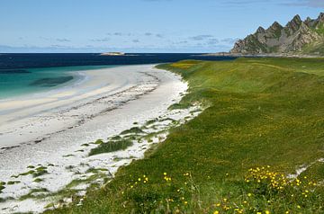 Caraïbisch strand in Noorwegen van Iris Heuer