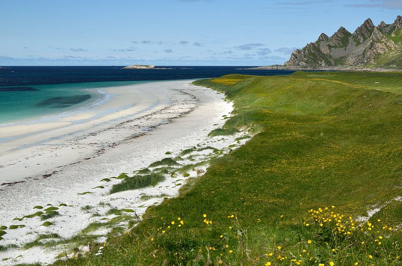Karibischer Strand in Norwegen von Iris Heuer