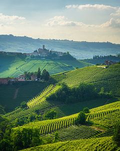 Die Landschaft der Langhe-Weinberge und das Dorf Castiglione Falletto