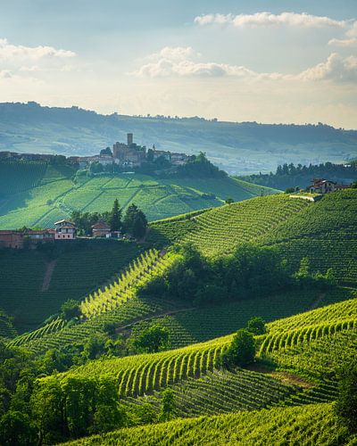 Langhe wijngaarden landschap en Castiglione Falletto dorp