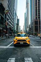 Yellow Cab