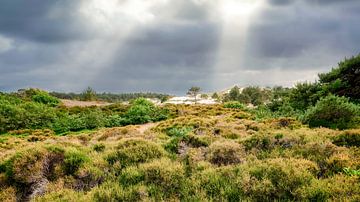 Noord-Hollandse kust met de Schoorlse duinen van eric van der eijk