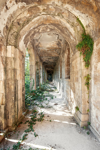 An overgrown arched passageway in an abandoned sanatorium