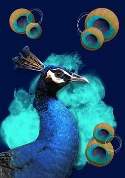 Pauw in blauw met ronde veren van Postergirls
