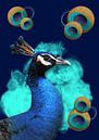 Pauw in blauw met ronde veren van Postergirls thumbnail