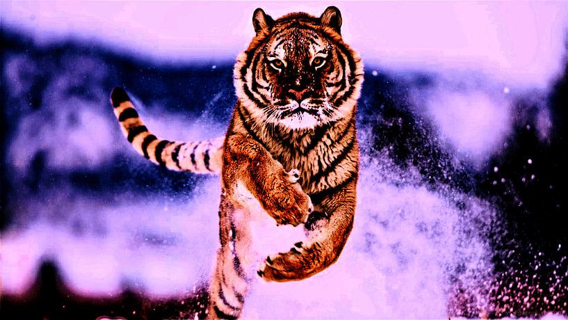Tiger in freier Wildbahn von ben van kleef
