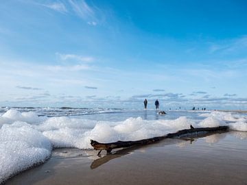Driftwood with foam on the beach at the North Sea by Animaflora PicsStock