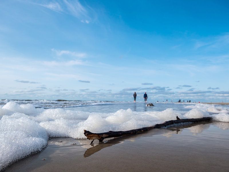 Treibholz mit Schaum am Strand an der Nordsee von Animaflora PicsStock