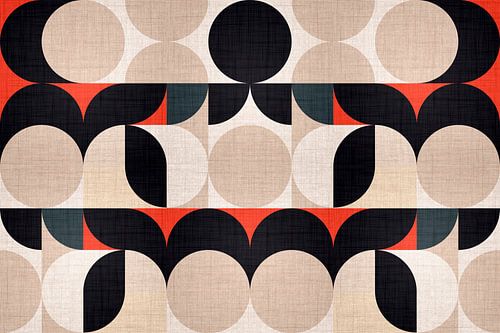 Natuurvormen Bauhaus Abstractie Organisch