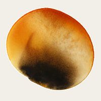 AMBER GLOW AQUA PETAL 995 - Abstract Watercolour Art with Ivory Background