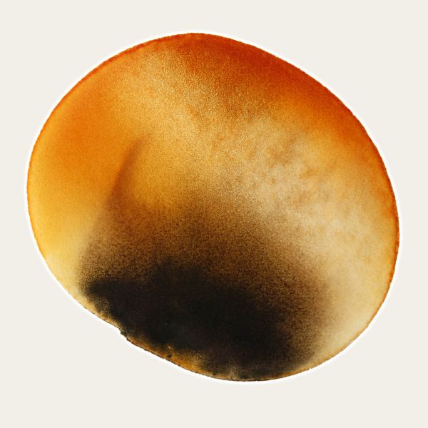 AMBER GLOW AQUA PETAL 995 - Abstract Watercolour Art with Ivory Background by Saskia Mensink PRINTS
