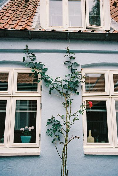 Aarhus Denmark by Mandy Markman