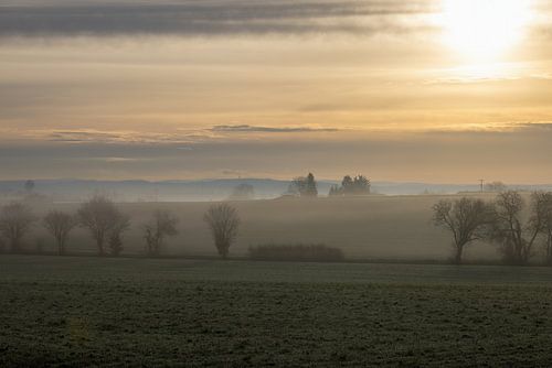 Paysage hivernal isolé au lever du soleil avec brouillard, givre, arbres et champs