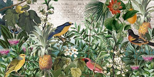 Zangles in het paradijs