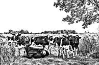 Koeien in de wei van Ans Bastiaanssen thumbnail