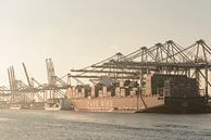 Frachtcontainerschiff an einem Containerterminal in Rotterdam Hafen von Sjoerd van der Wal Fotografie Miniaturansicht