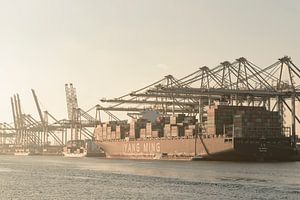 Container schip aangemeerd in de haven van Rotterdam op de Maasvlakte van Sjoerd van der Wal Fotografie