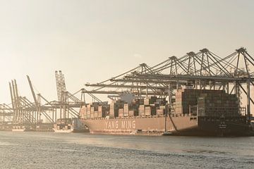 Container schip aangemeerd in de haven van Rotterdam op de Maasvlakte van Sjoerd van der Wal