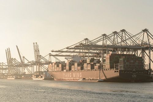Container schip aangemeerd in de haven van Rotterdam op de Maasvlakte
