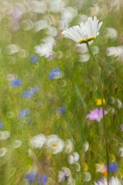 Margriet & bolderik von Wolbert Erich