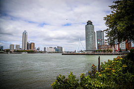 Skyline de Rotterdam sur SVPhotographie