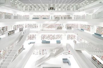 Diese Bibliothek von Wil Crooymans