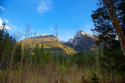 Alpen