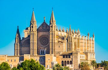 Vooraanzicht van de beroemde kathedraal van Palma de Majorca, Spanje van Alex Winter