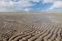 Laag water op de Hors, Texel