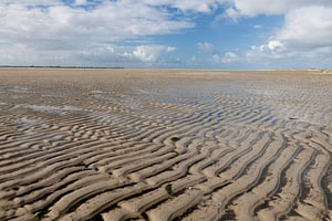 Laag water op de Hors, Texel