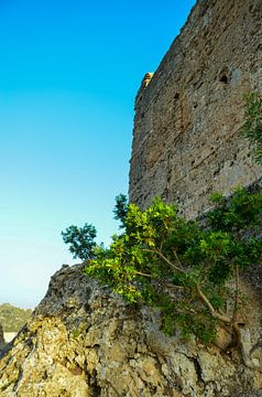 Une tour du Castillo de Forna sur un grand rocher avec un arbuste vert et un ciel bleu sur LuCreator