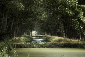 Blick auf eine kleine Brücke in Griendsveen
