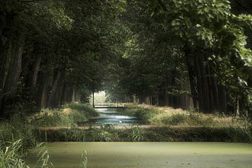View on a small bridge in Griendsveen by Kees van Dongen