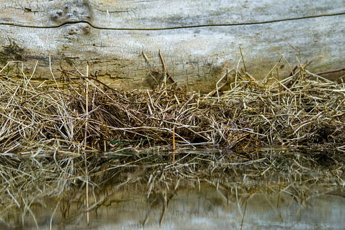 weerspiegeling