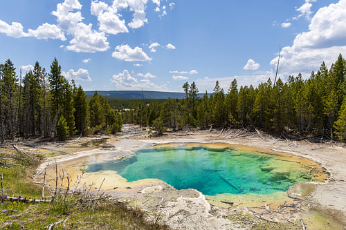Yellowstone - Norris Junction
