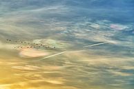 Parelmoerwolken van Johan Kalthof thumbnail