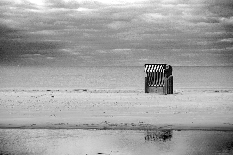 Basket-Chair-01-SW von Olli Boehm