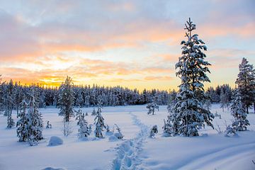 Pad door de sneeuw met mooie lucht in Fins Lapland van Phillipson Photography