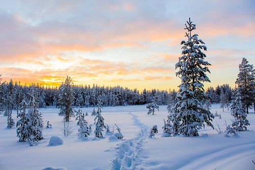 Path through the snow with beautiful air in Finnish Lapland