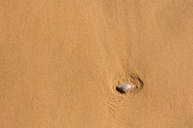Gevonden – schelp in het strandzand van Nina Thilo
