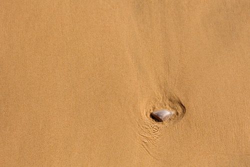 Gevonden – schelp in het strandzand