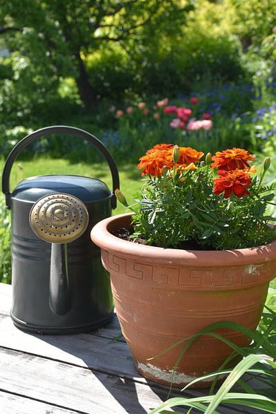 On the terrace in summer by Claude Laprise
