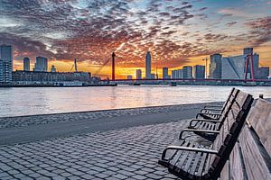 Sonnenuntergang an der Skyline von Rotterdam von Chris van Es