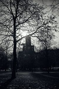 Das Tintenfass bei Tegenlicht in Utrecht