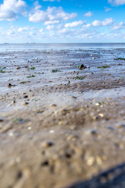 Low water by Willie Kamminga