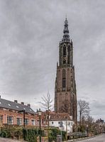 Lange Jan 