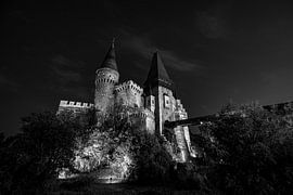 Hunedoara Castle by Roland Brack
