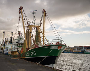 Kutter im Fischereihafen von IJmuiden